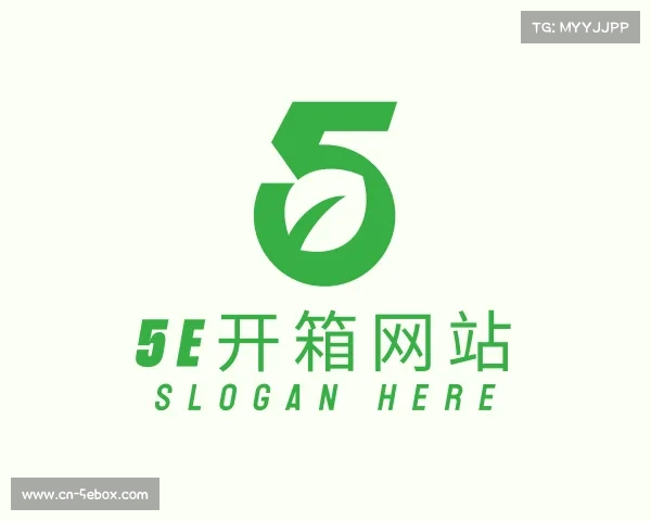 解读5e开箱网站